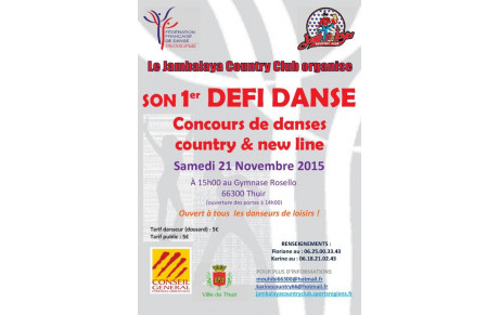 DEFI DANSES